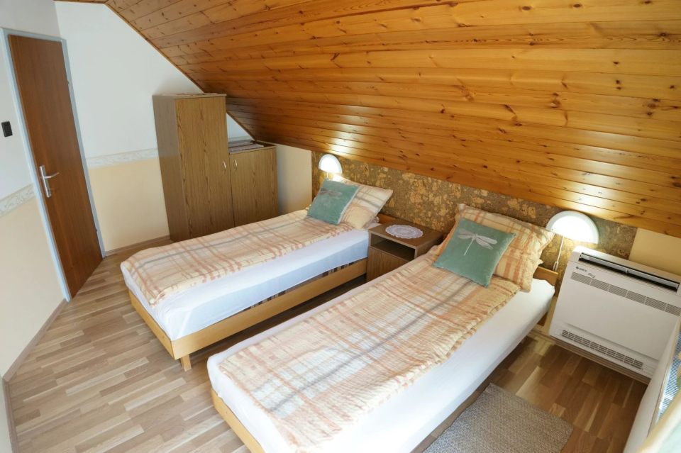Apartman Németh - Kisapáti