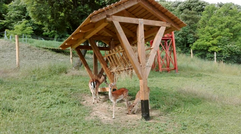 Balatonendrédi Vadaspark és Vendégház  - Balatonendréd