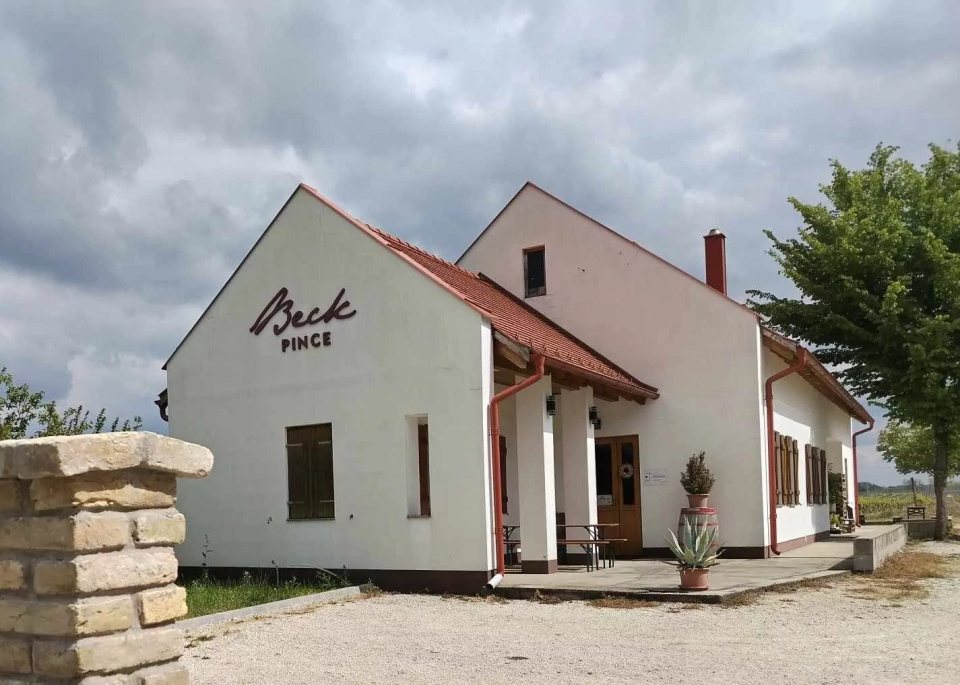 Beck Pince Hajós