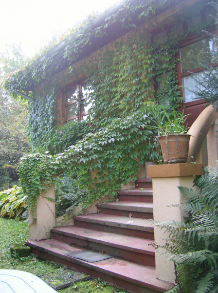 Boróka Villa és Apartman-házak - Velem