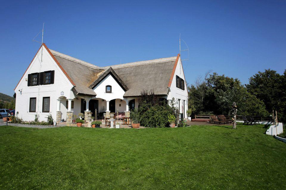 Dolce Vita Villa