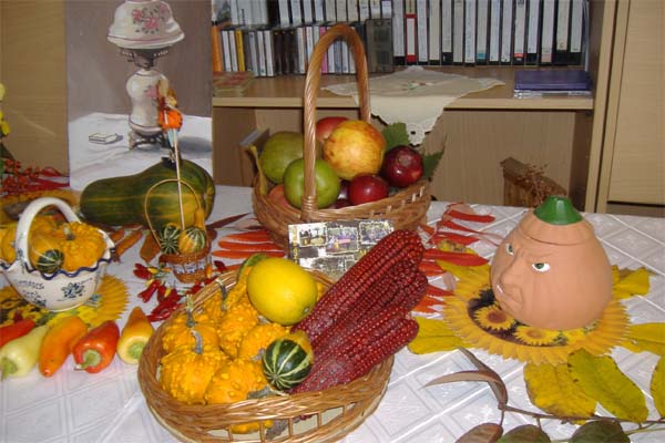 Döme Vendégház - Mártély