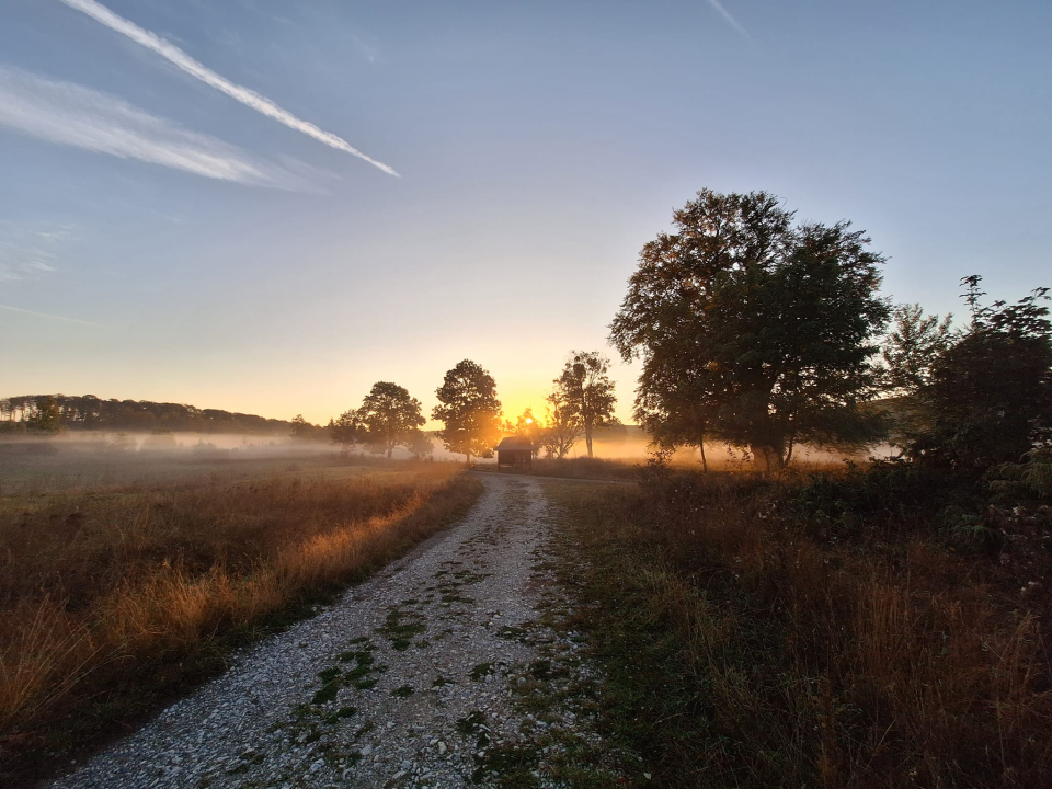 Fehér Sas Panzió és Étterem - Nagyvisnyó