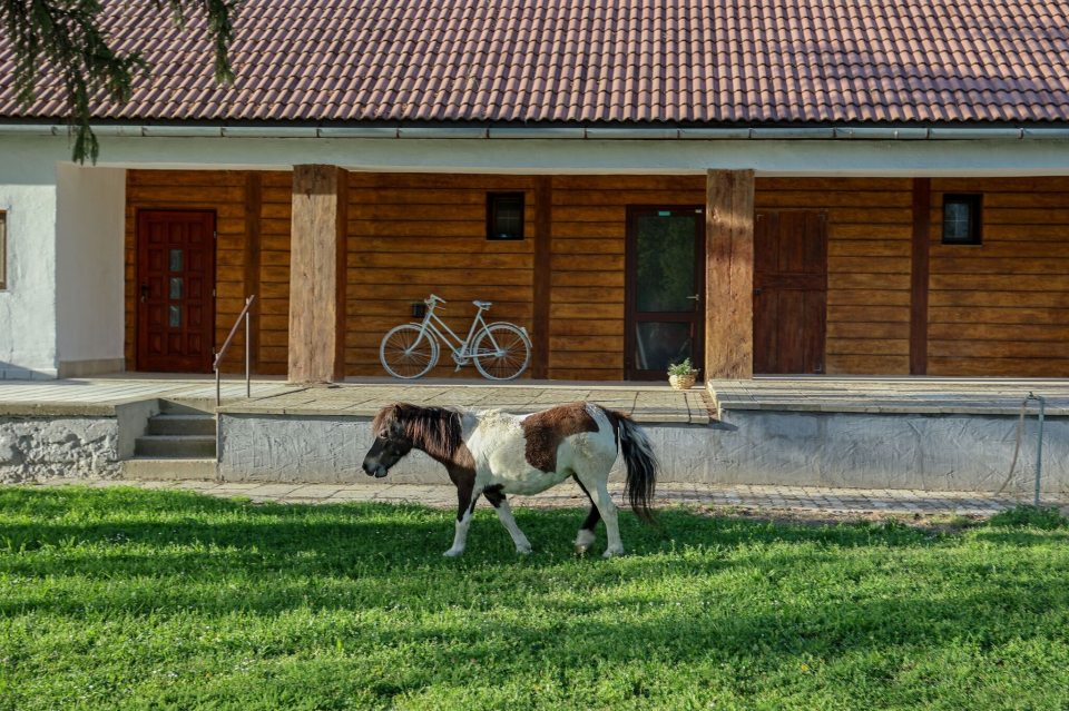 Fekete Gólya Fogadó - Gemenc