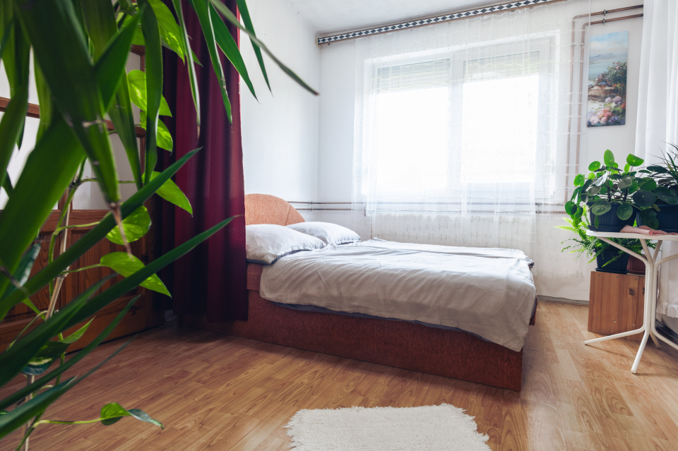 Fenyő Vendégház - Mikófalva