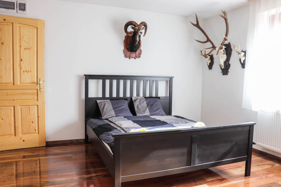 Forest Luxury Apartman - Dorogháza