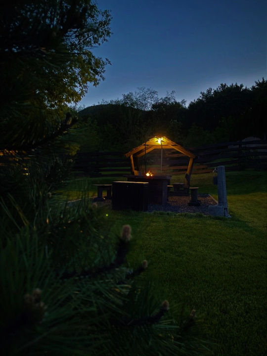 Forest House Vendégházak - Diósjenő