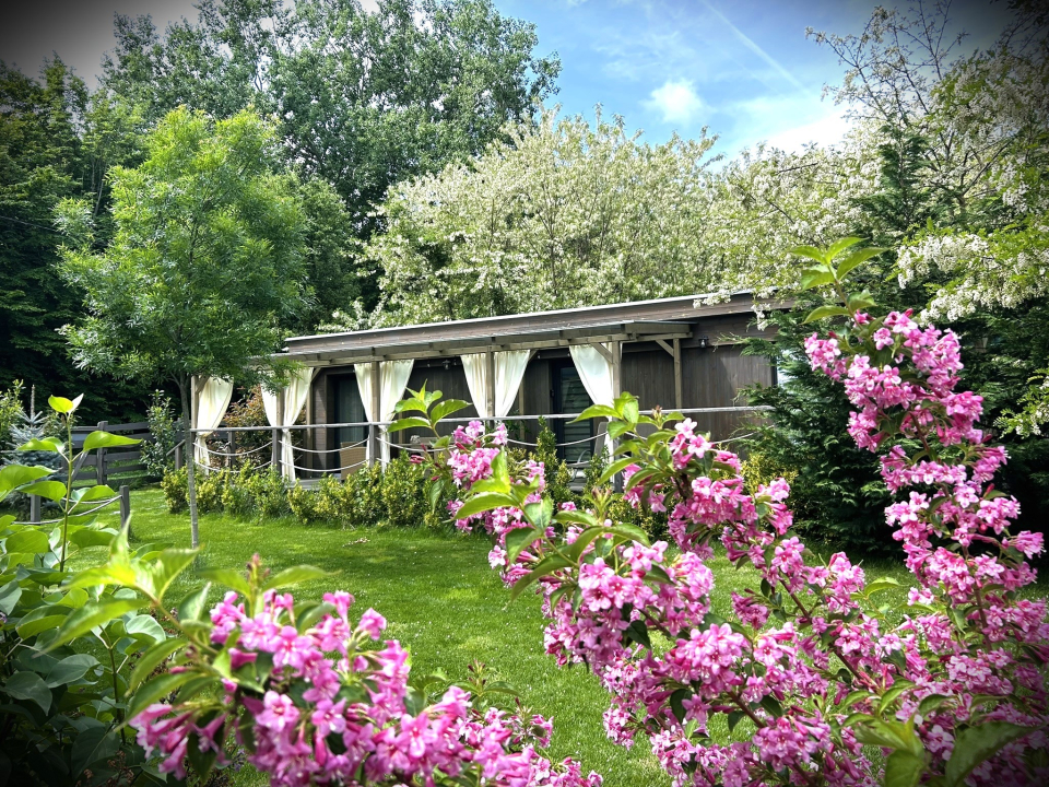 Forest House Vendégházak - Diósjenő