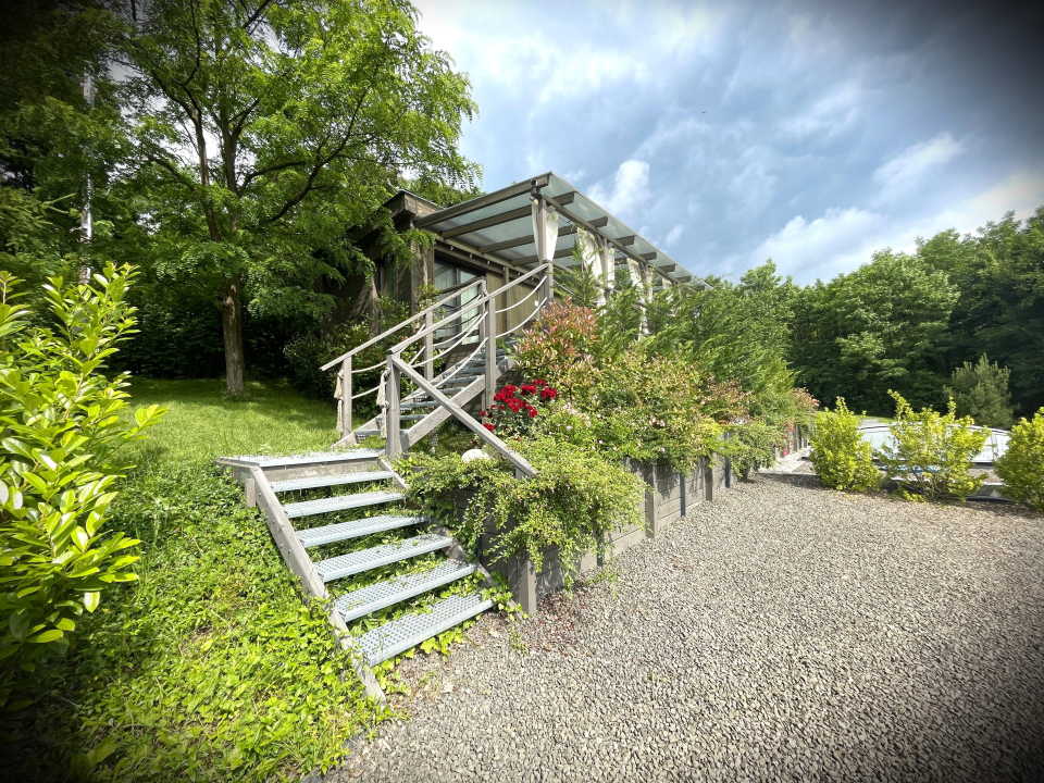 Forest Lodge - Diósjenő