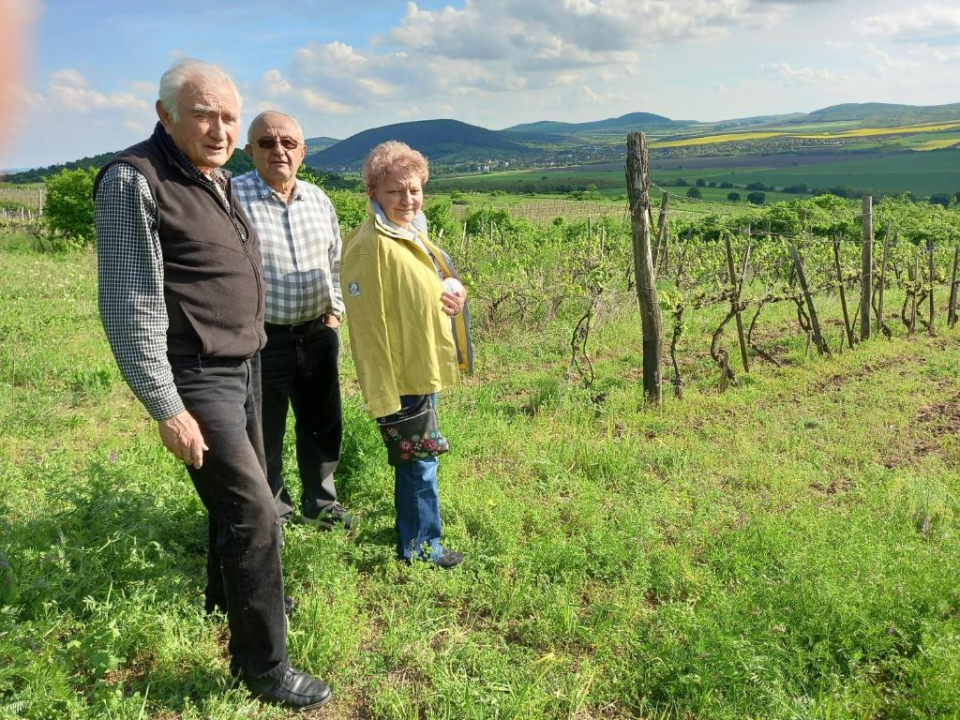 Galambos Pincészet és Vendégházai - Abaújszántó
