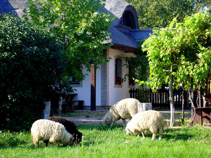 Hajóskert Vendégház - Gönyű