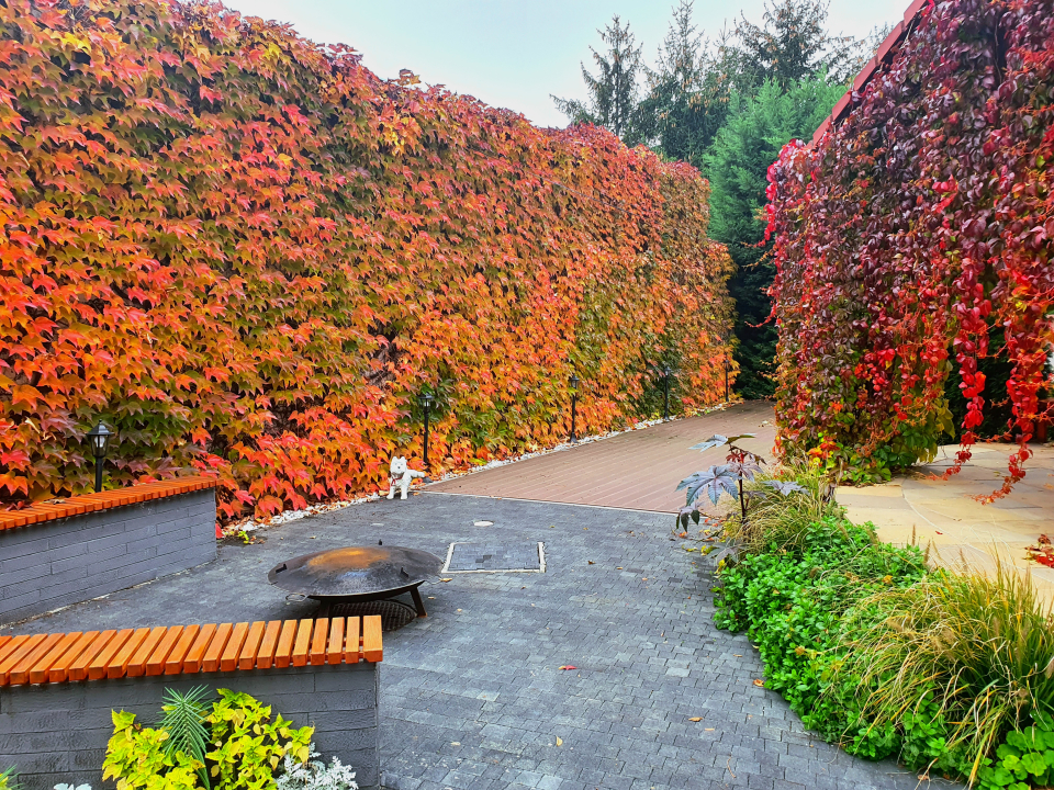 Károlyi Panzió - Eger