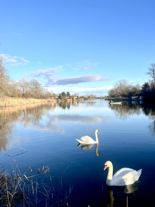 Lodka Vendégház - Szigetcsép