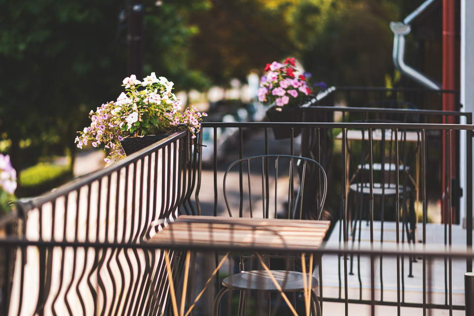 Lujza & Koriander - Vác