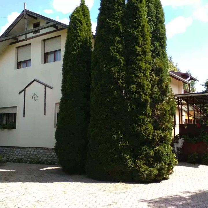Magyar Lovasvendégház  - Szilvásvárad