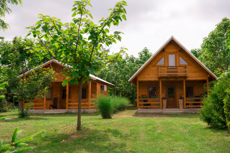 Napfény Alpaka Farm