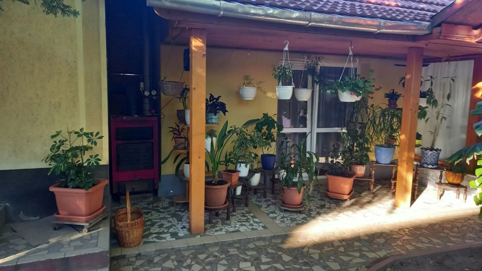 Németh Apartman - Tiszafüred