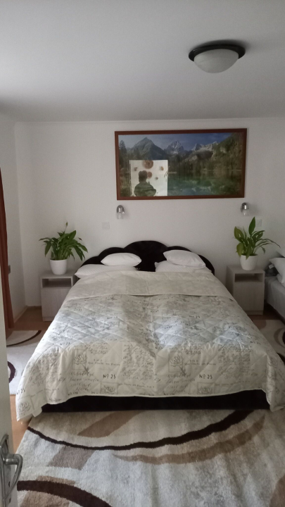 Németh Apartman - Tiszafüred