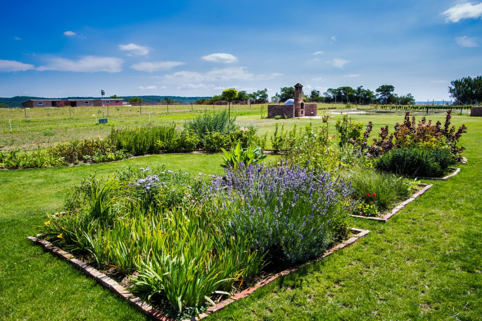 Öregtölgy Farm - Szár