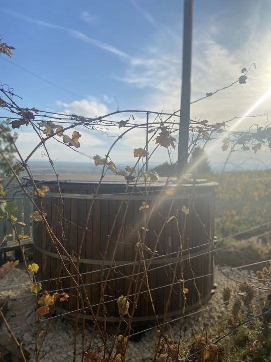 Somlói Provence - Doba