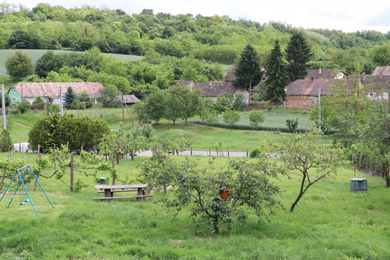Szajkó Vendégház - Mucsi