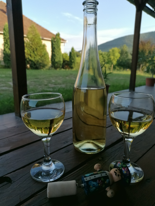 Tölgyes-völgy vendégház  - Makkoshotyka