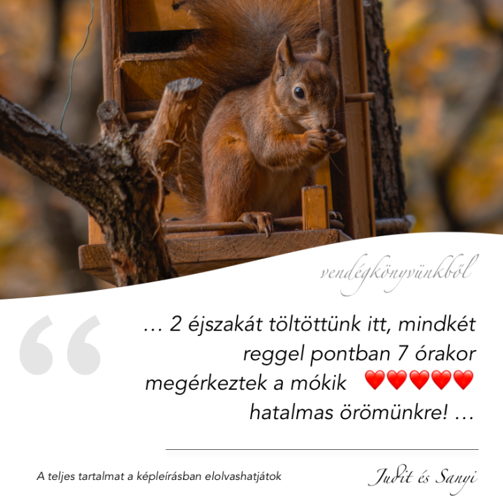 Tölgyes Völgy Pihenőház - Pilisjászfalu