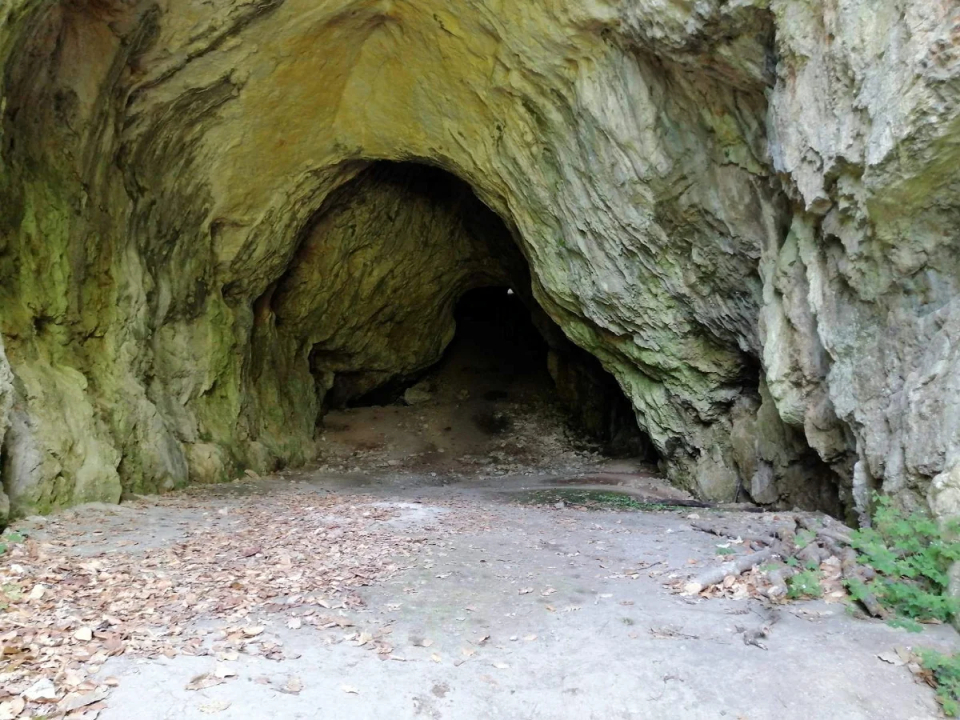Vadasapartman - Miskolc-Alsóhámor