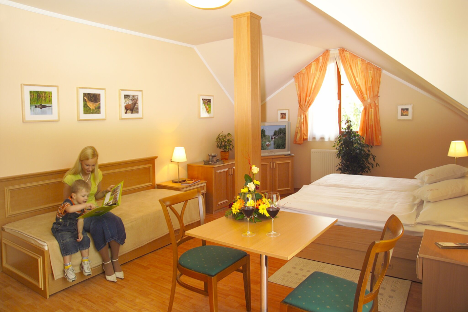 Vadászkürt Panzió - Sopron