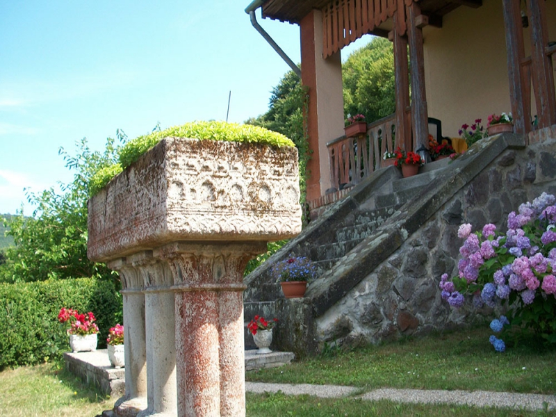 Villa Panorama Artist - Dömös