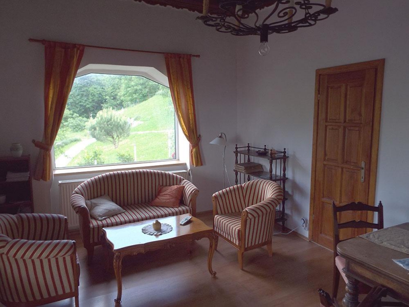 Villa Panorama Artist - Dömös