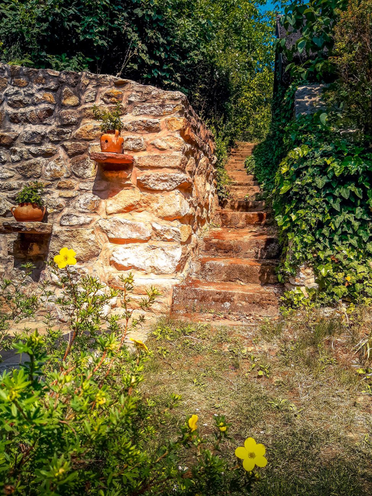 Wild Boar Cottage - Badacsonytomaj-Badacsonyörs