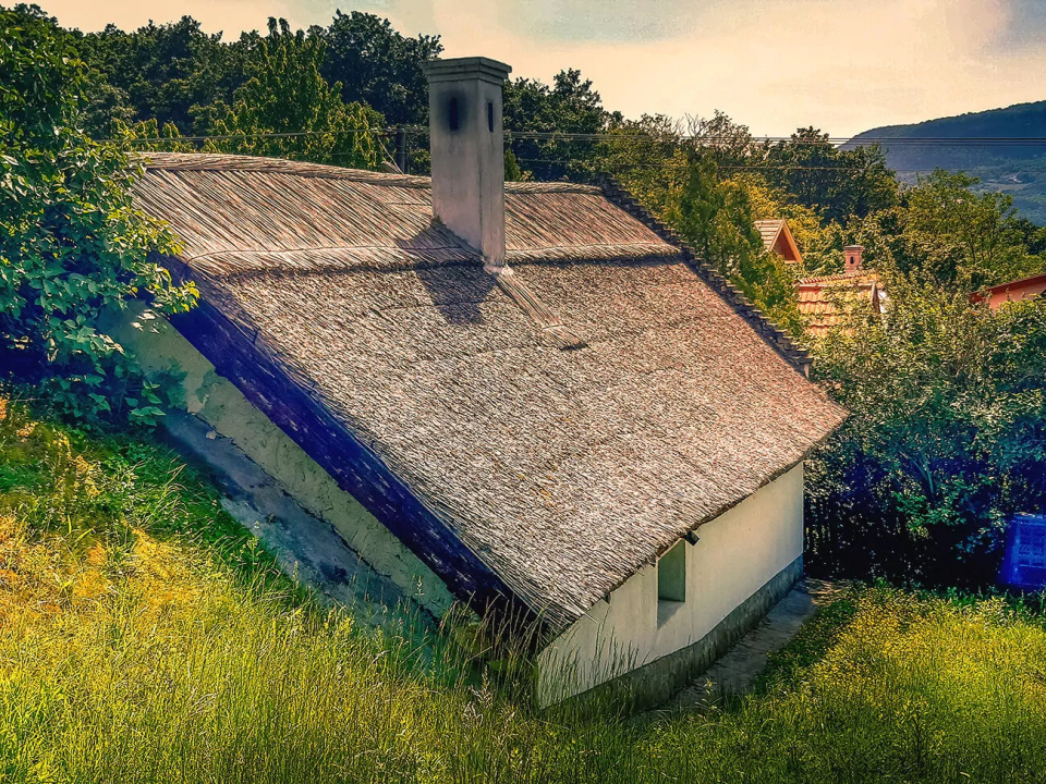 Wild Boar Cottage - Badacsonytomaj-Badacsonyörs
