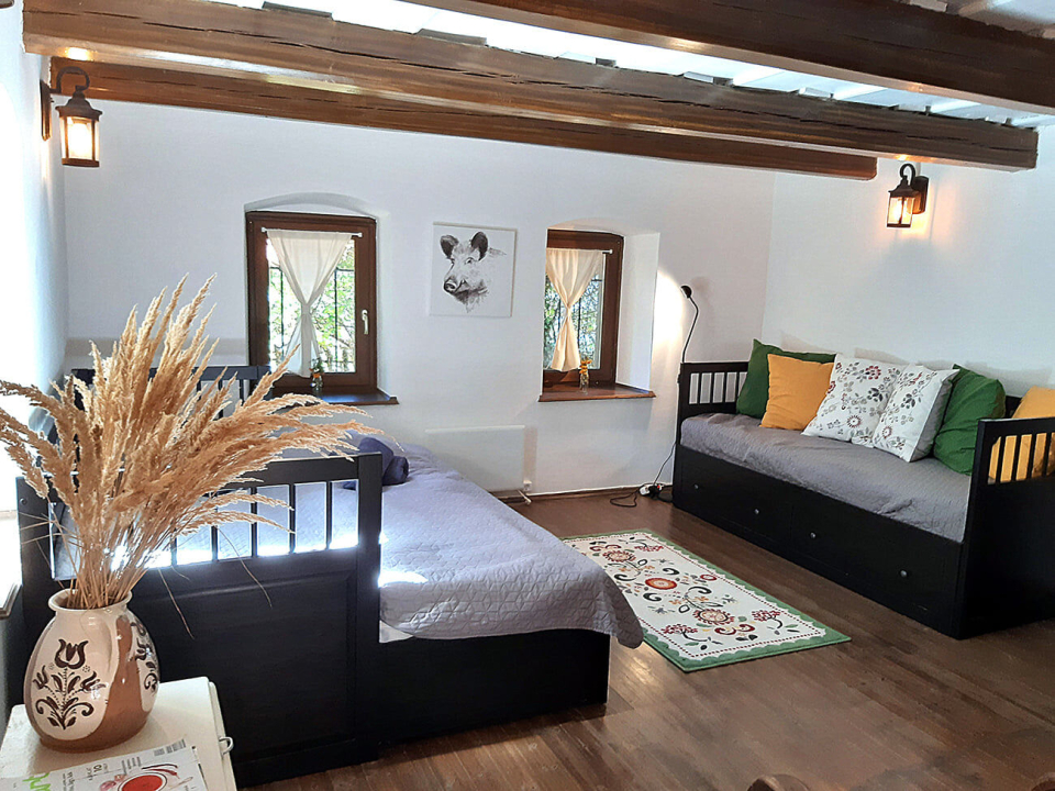 Wild Boar Cottage - Badacsonytomaj-Badacsonyörs