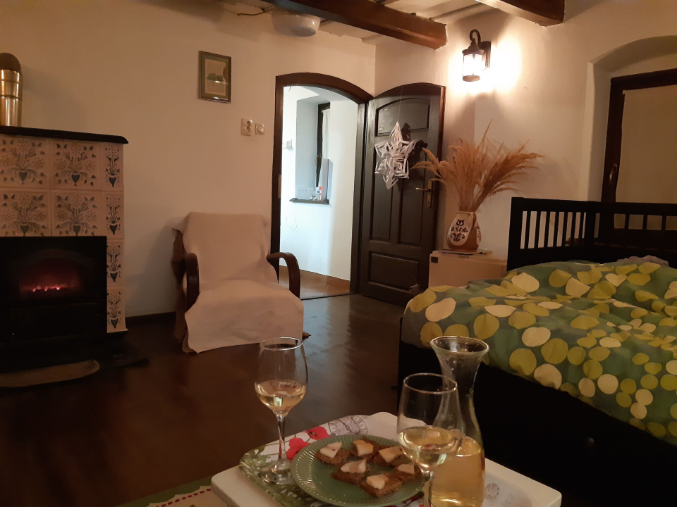 Wild Boar Cottage - Badacsonytomaj-Badacsonyörs